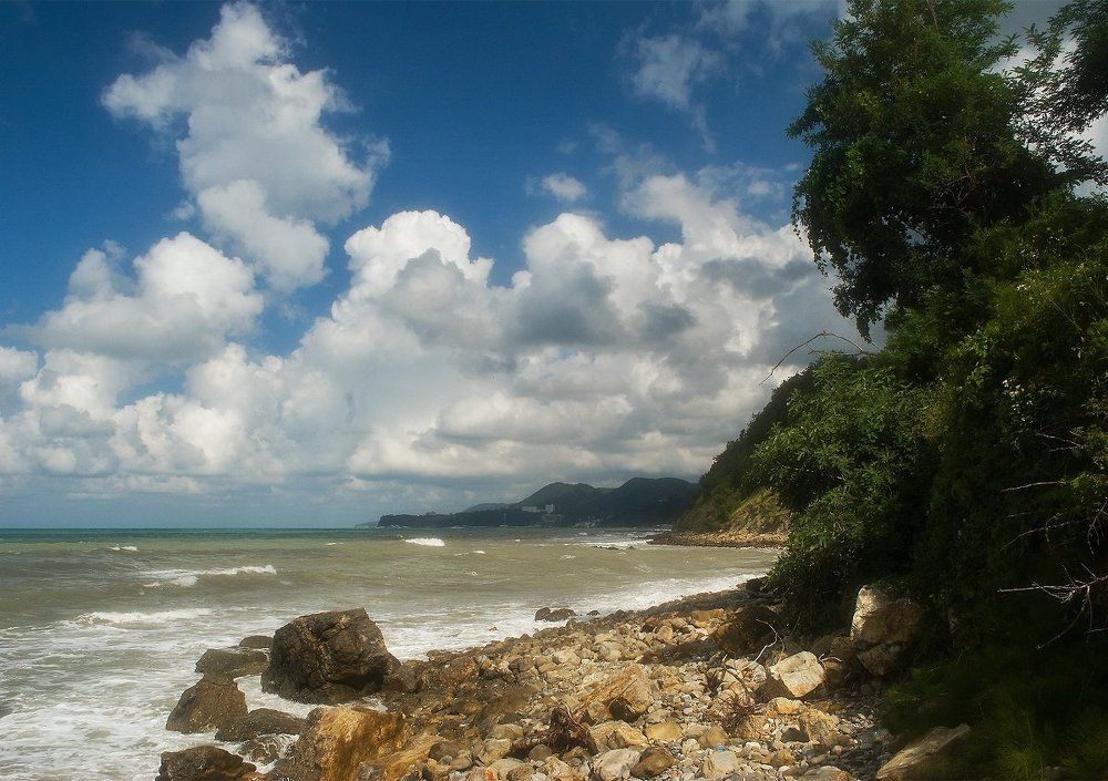 летний день