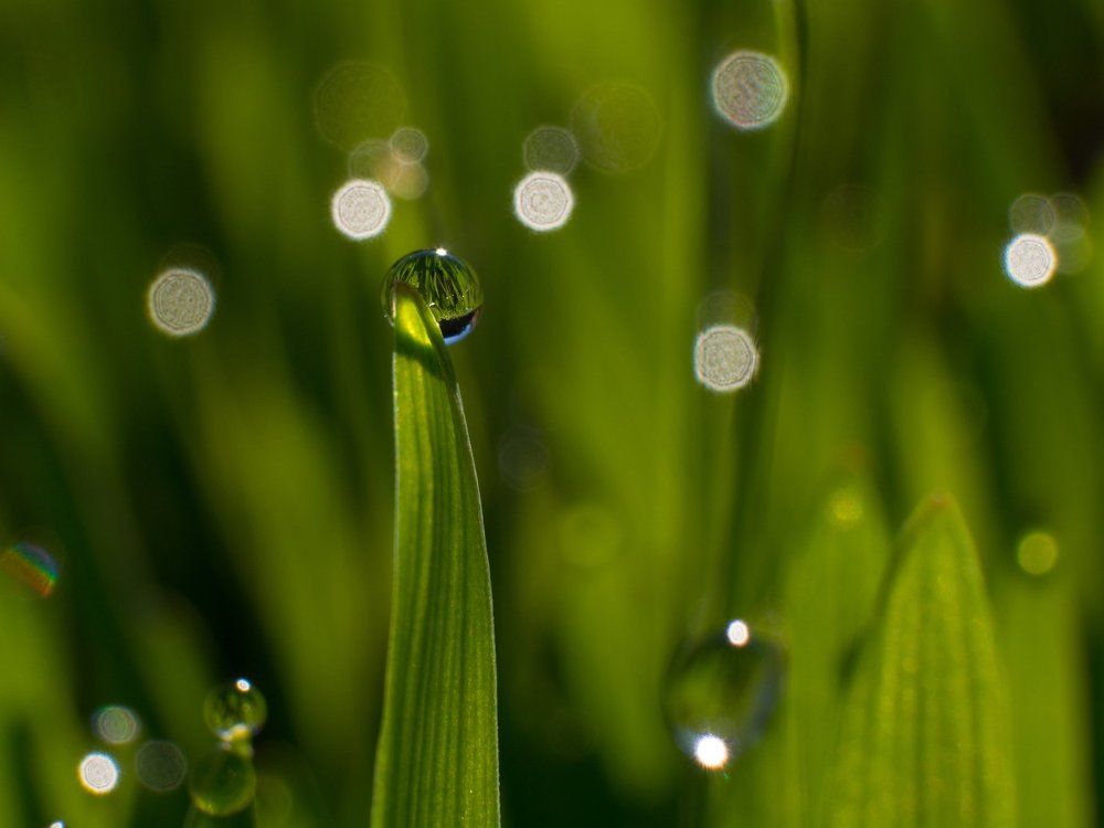 Капелька - Droplet