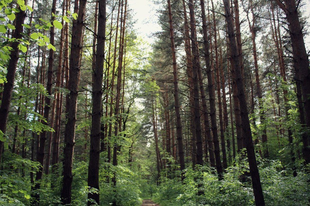 Photograph by Анна