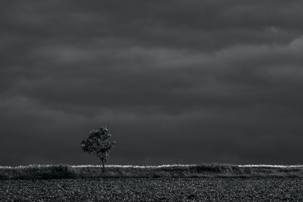 Перед грозой