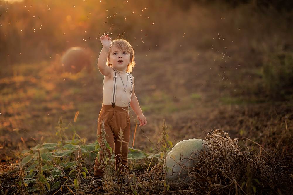 В погоне за светом.