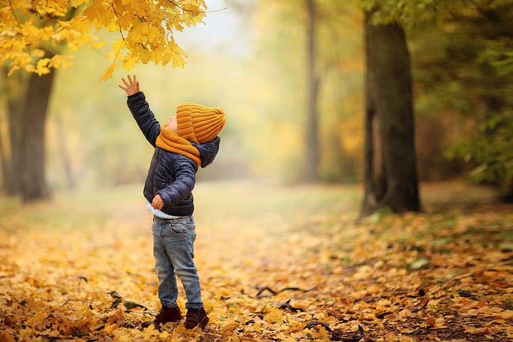 Золотая осень