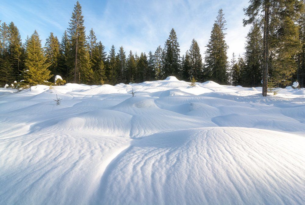 Много снега не бывает