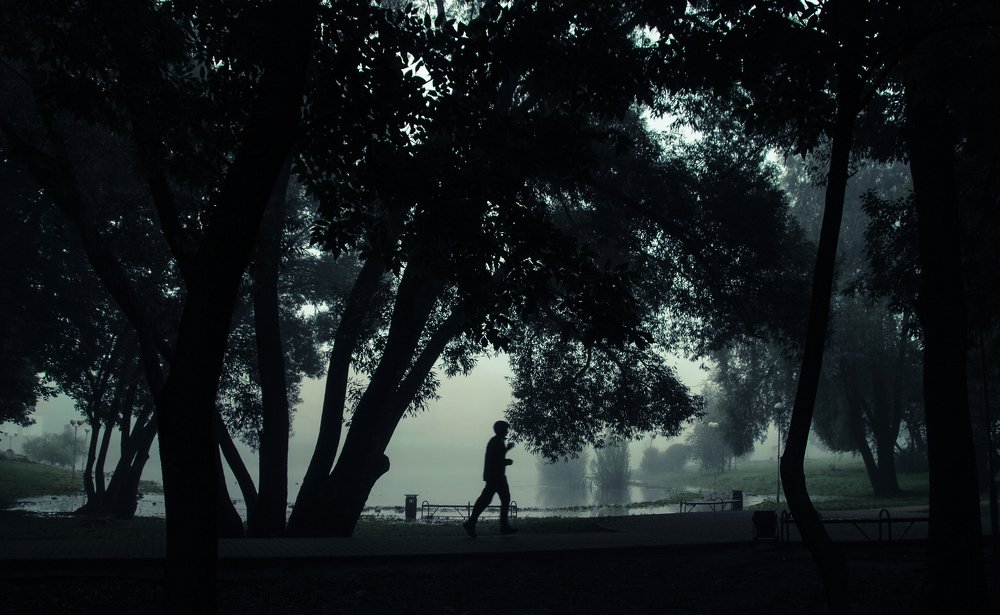 раннее туманное утро в парке