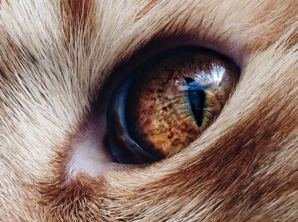 Photograph by Милолика Лейбовиц