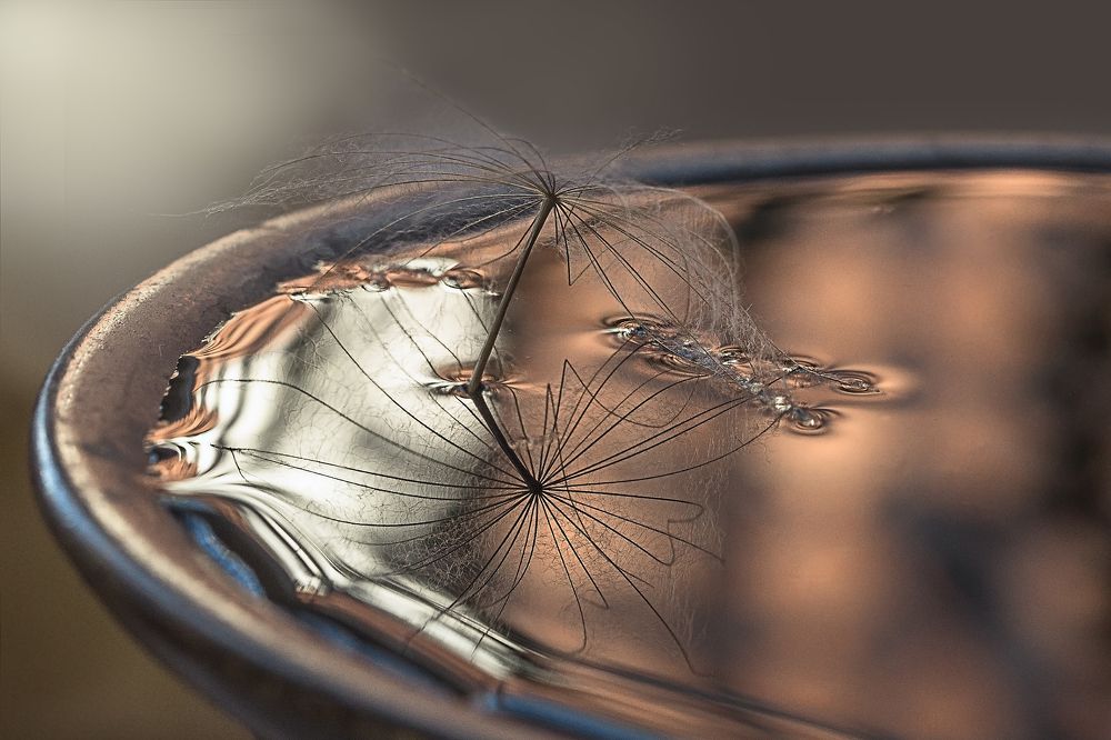 Магия света и воды.