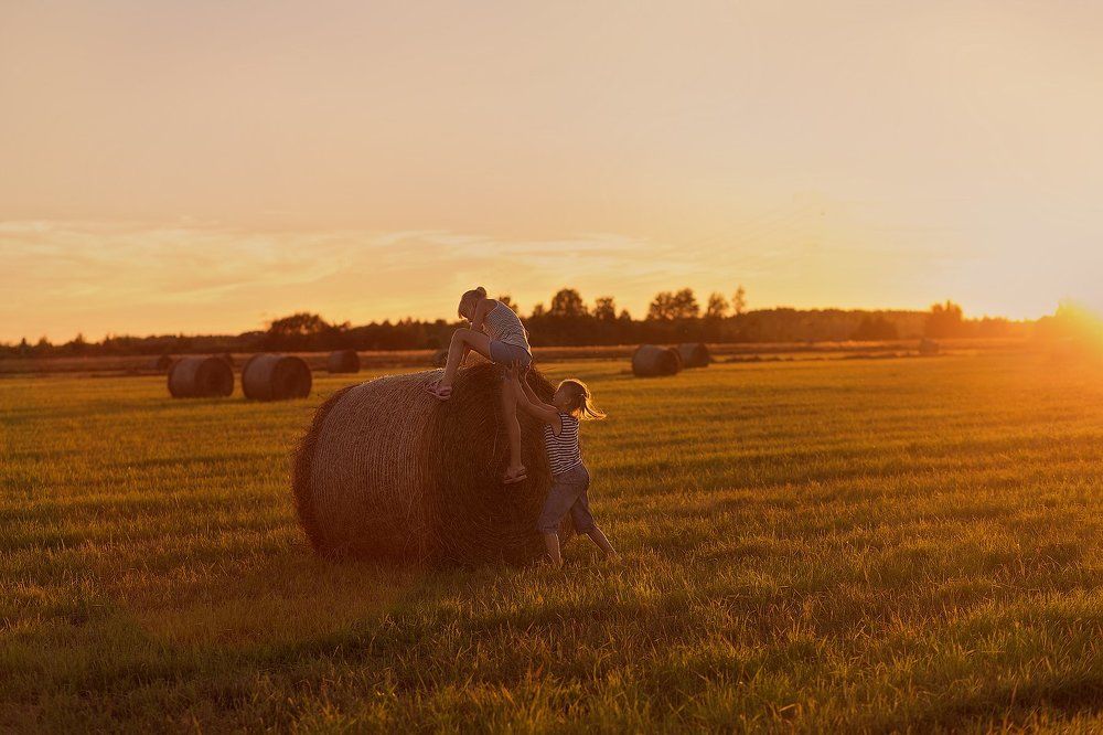 Дружба крепкая