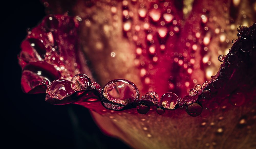 Drops