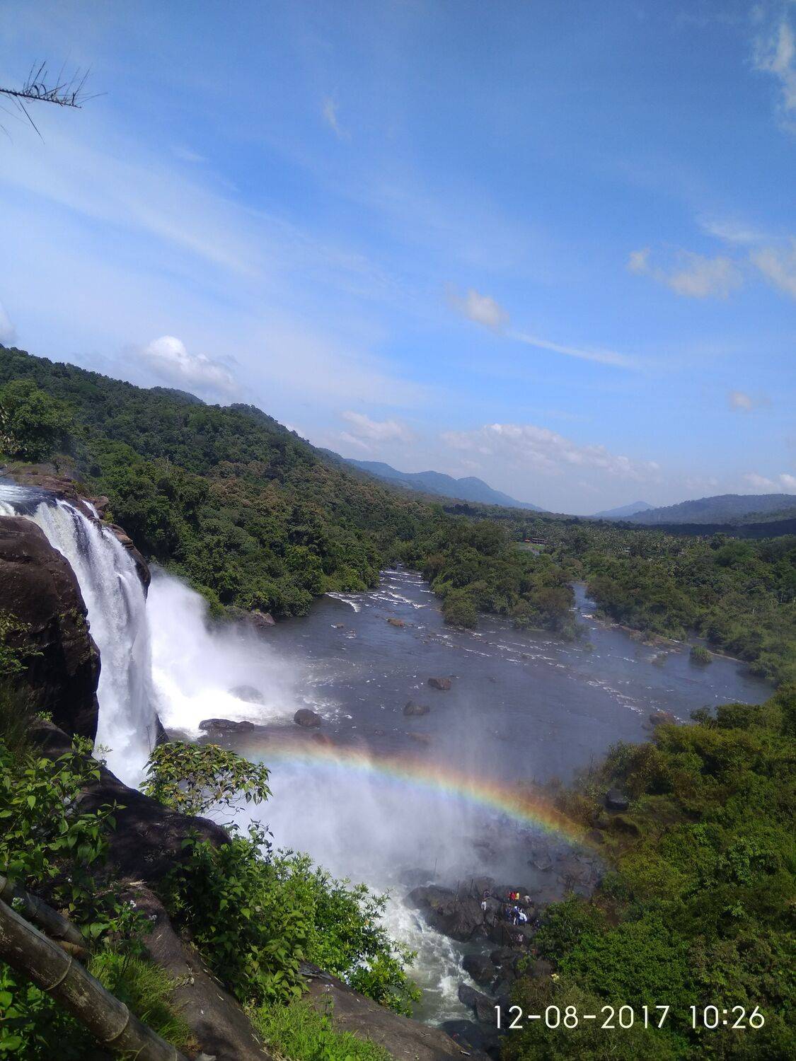 Miracle of nature