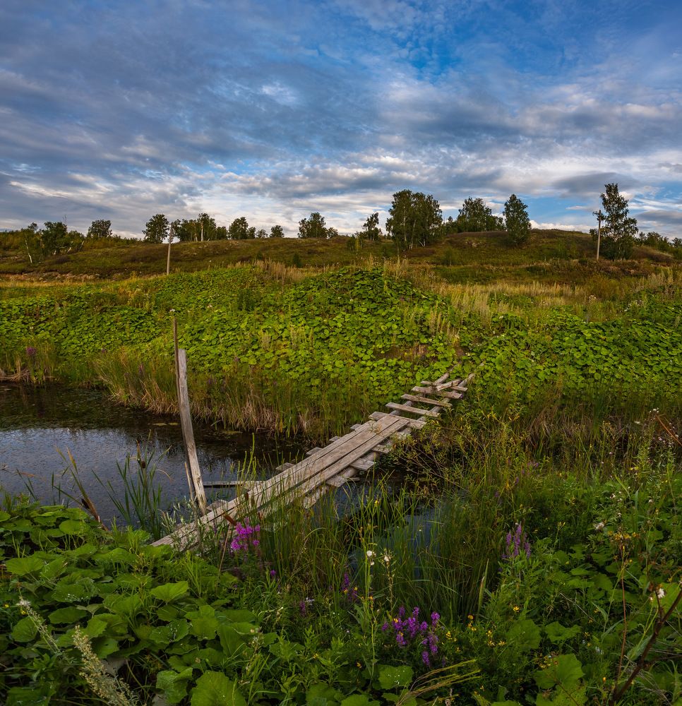 Photograph by Клягин Павел