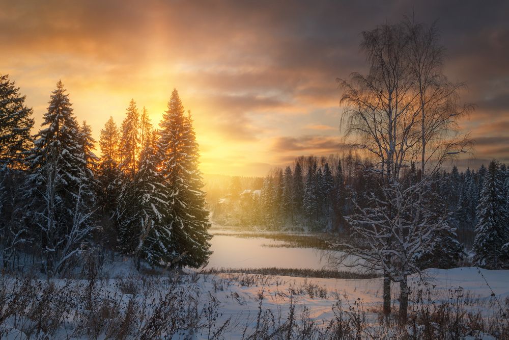 Зимнее вдохновение