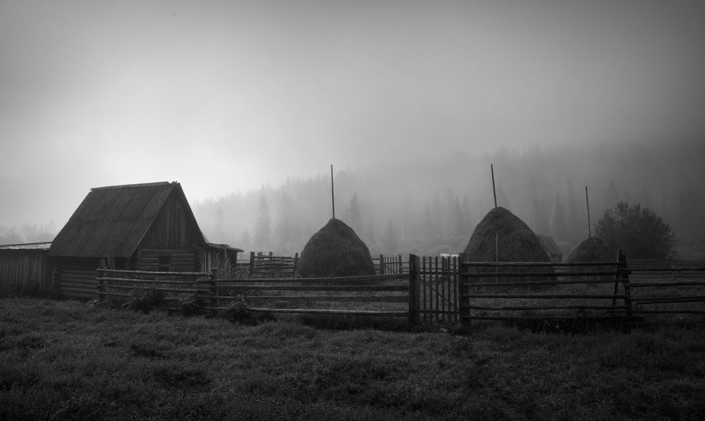 Кров завещанный - Шория!