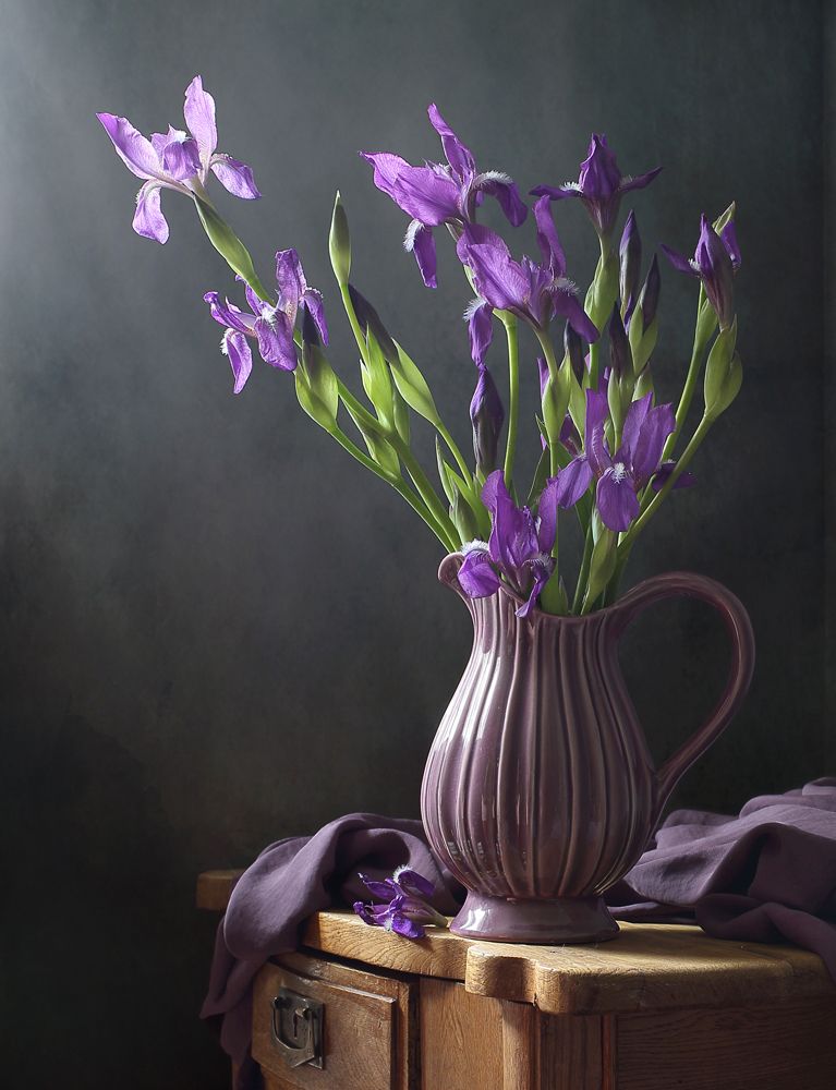 Ирисы