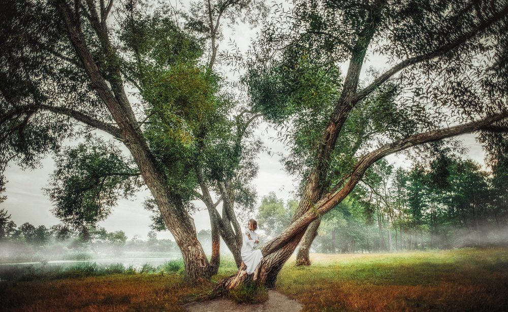 Photograph by Oksamyt Andrew