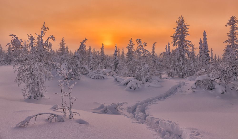 Мороз и солнце