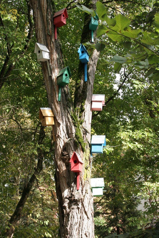 Фотография автора Владимир Николаев