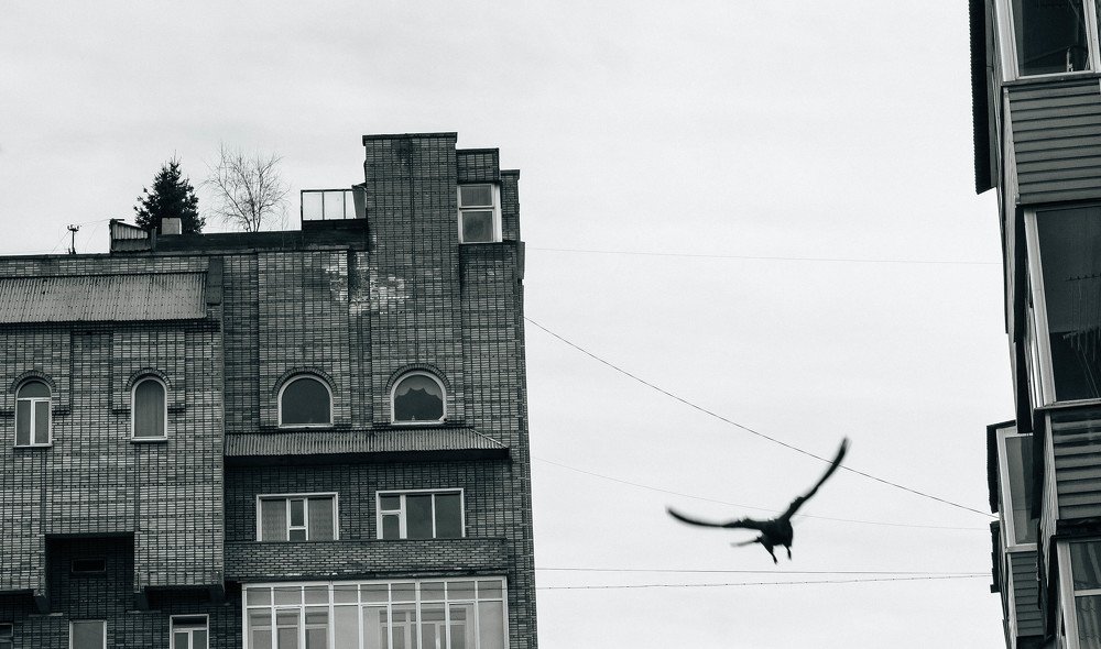 Photograph by Илья Бузаев