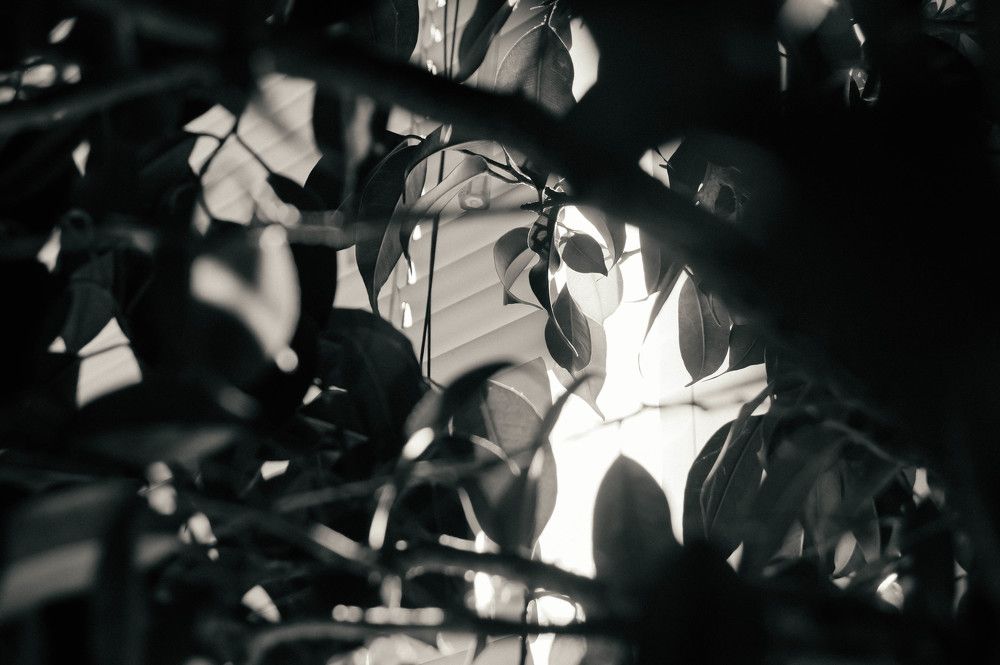 Photograph by Илья Бузаев