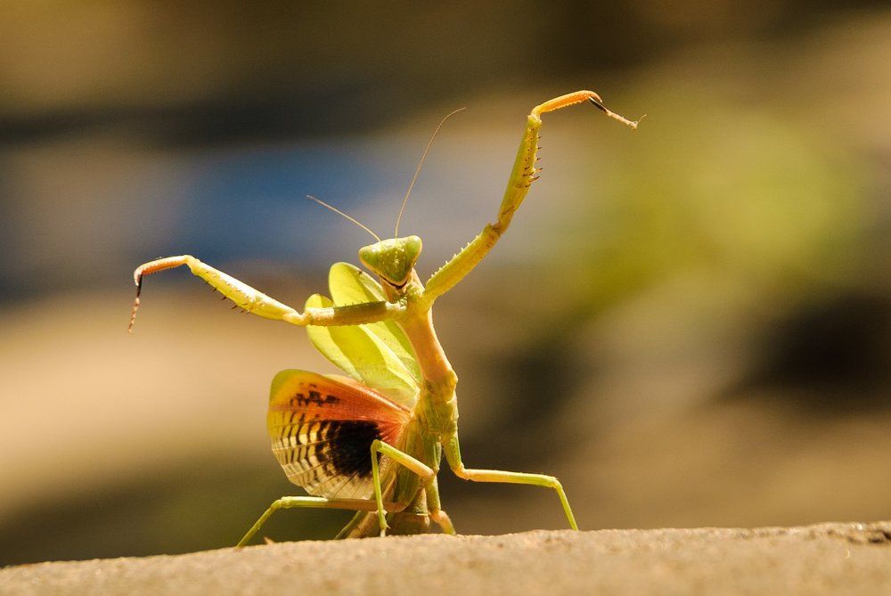 ..мой выход на сцену...