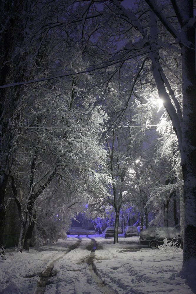 Photograph by Андрей Арсеньев