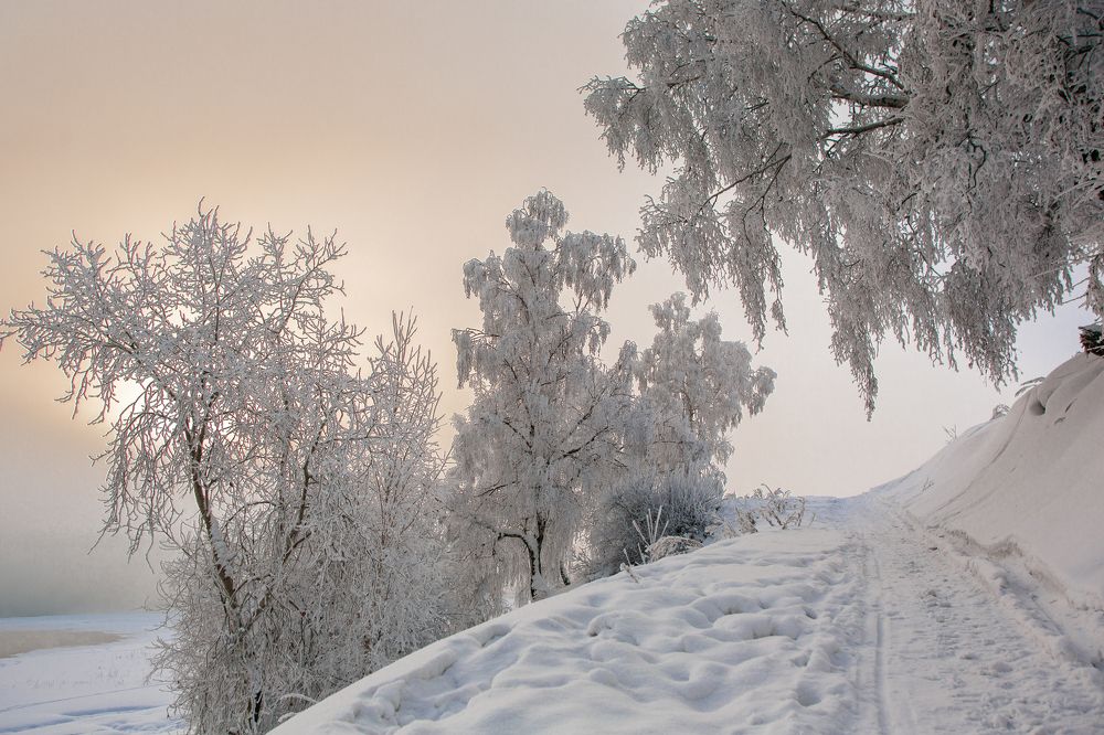 Утро у Ангары