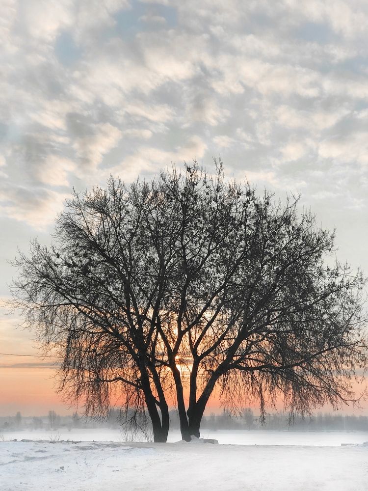 Photograph by Иващенко Виктория