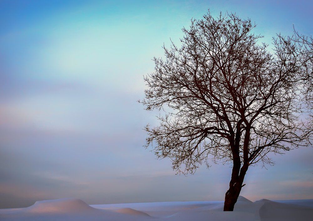 Одиночество