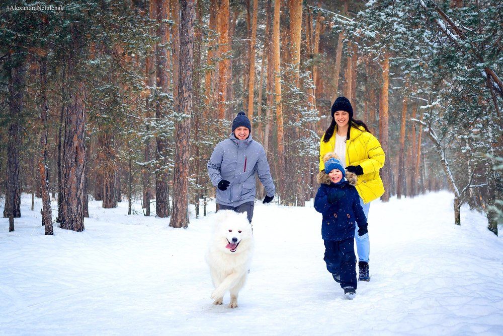 Семейная прогулка