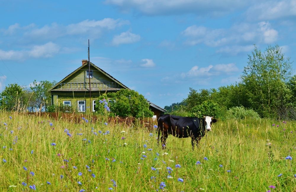 В деревне...