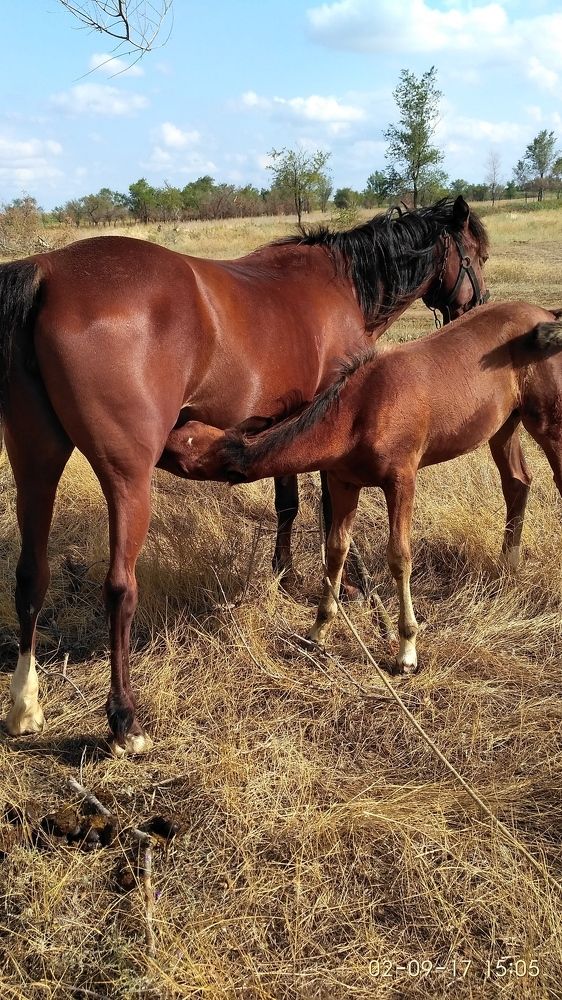 Go be a big man some day