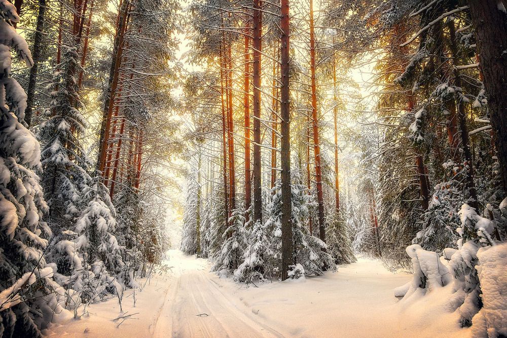 На распутье.