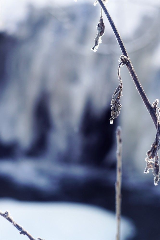 Морозное утро