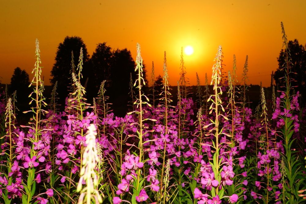 на закате дня