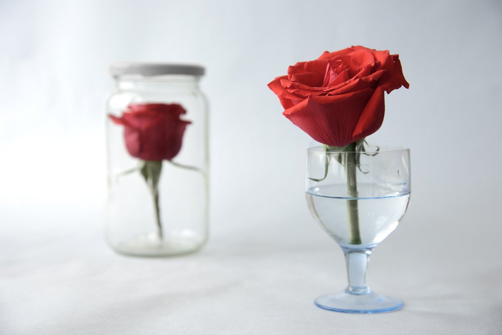 Воспоминания о любви