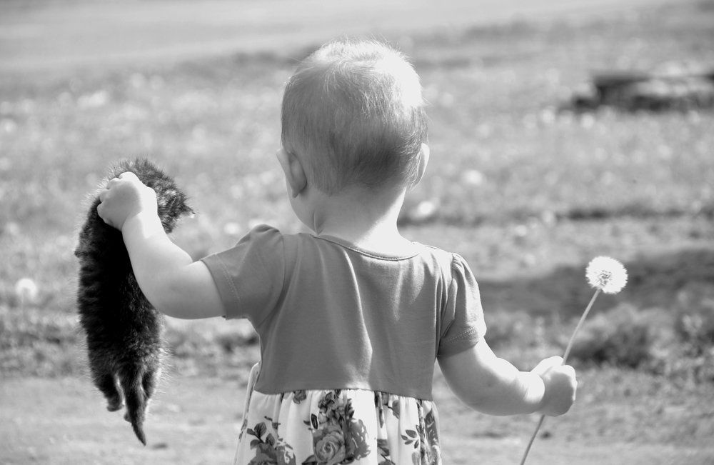 На прогулке