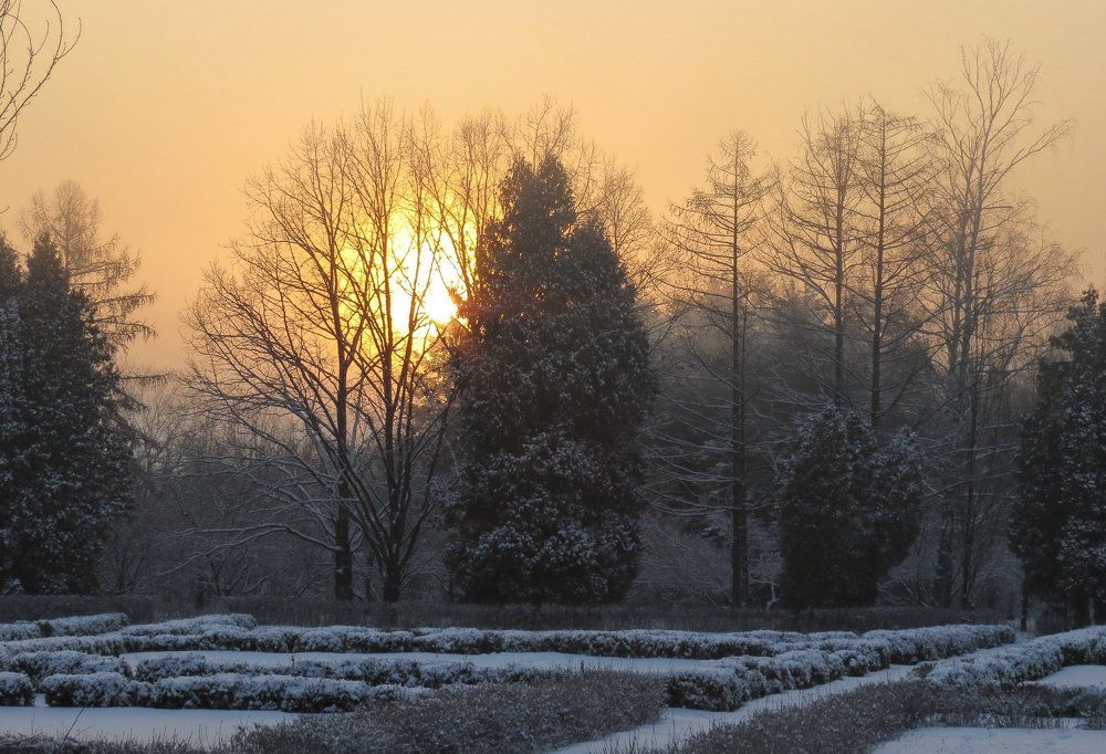 Зимний рассвет