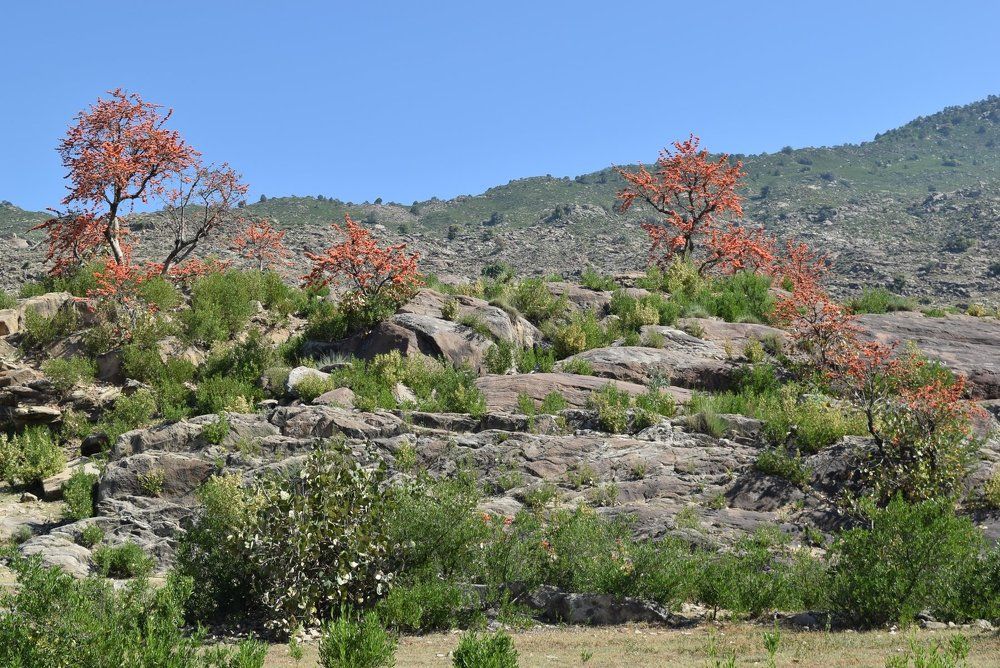 Beuti of my village Maina Malakand Pakistan