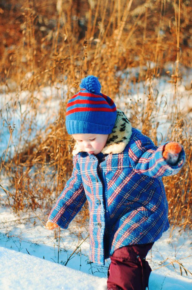 Зима прогулка