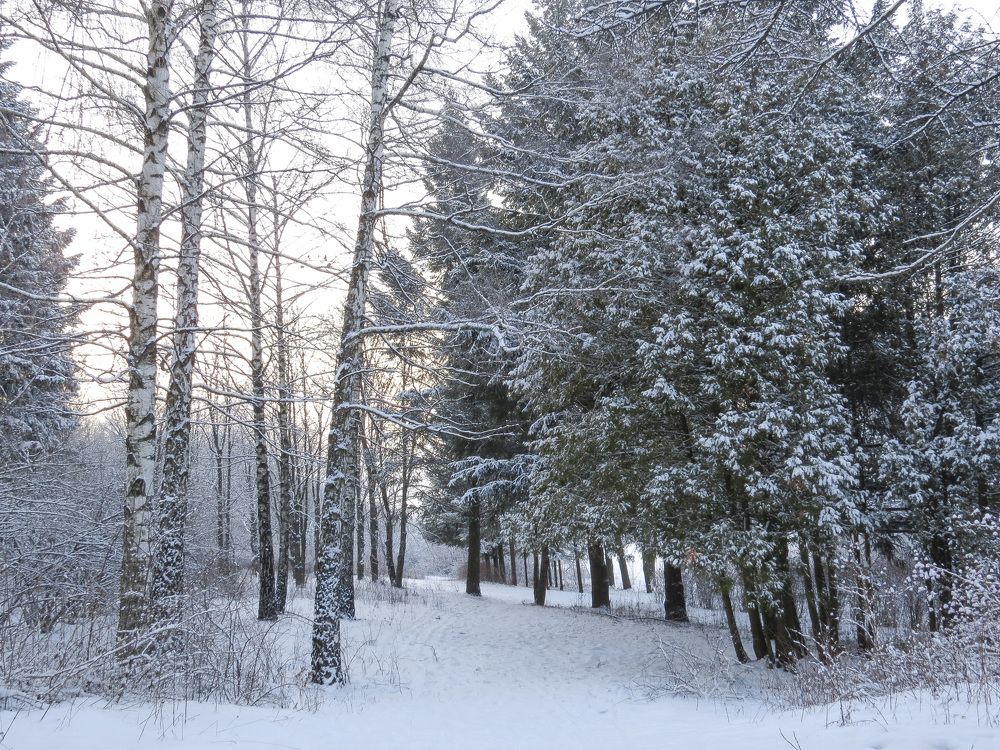 По тропинке на рассвете
