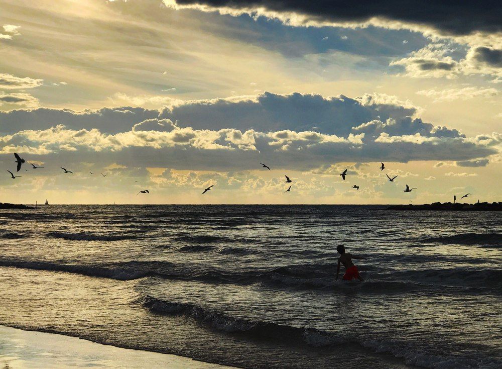 Ловец закатов