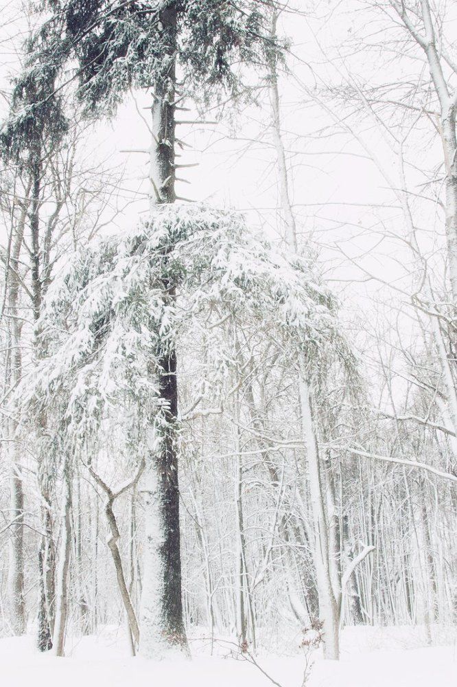 Photograph by Екатерина Моисеенко