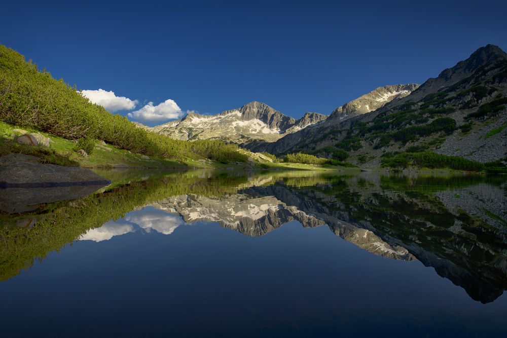 The Mirror of Nature