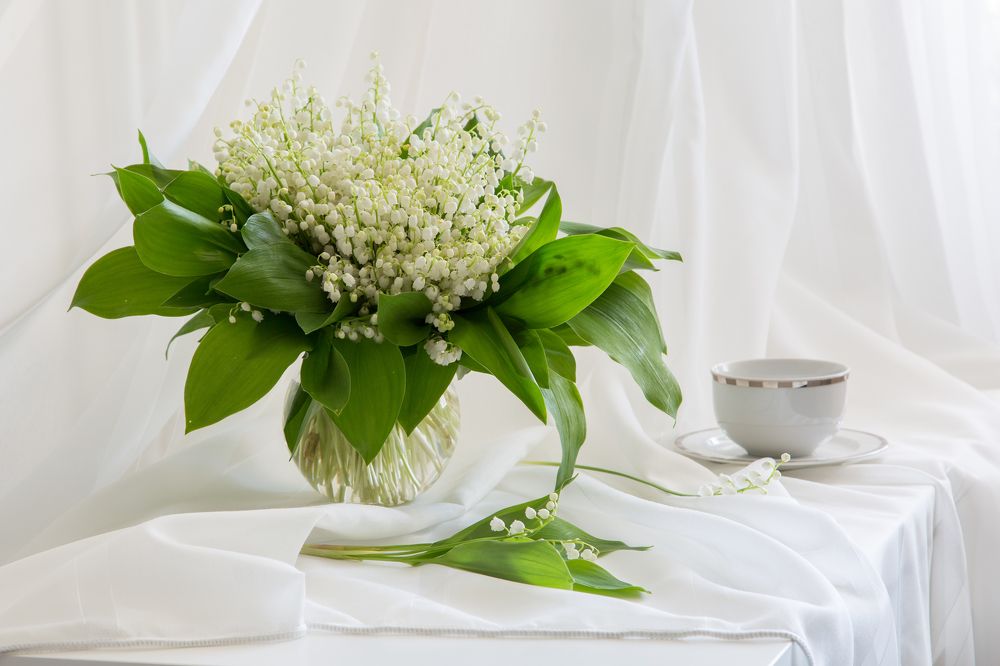 Светлого мая привет