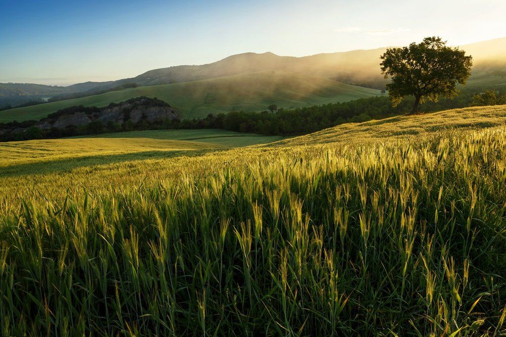 Утро в Тоскане