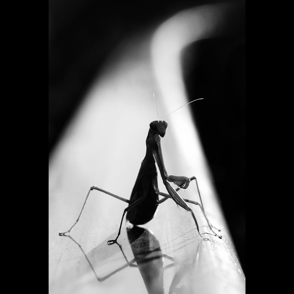 ...прощание...