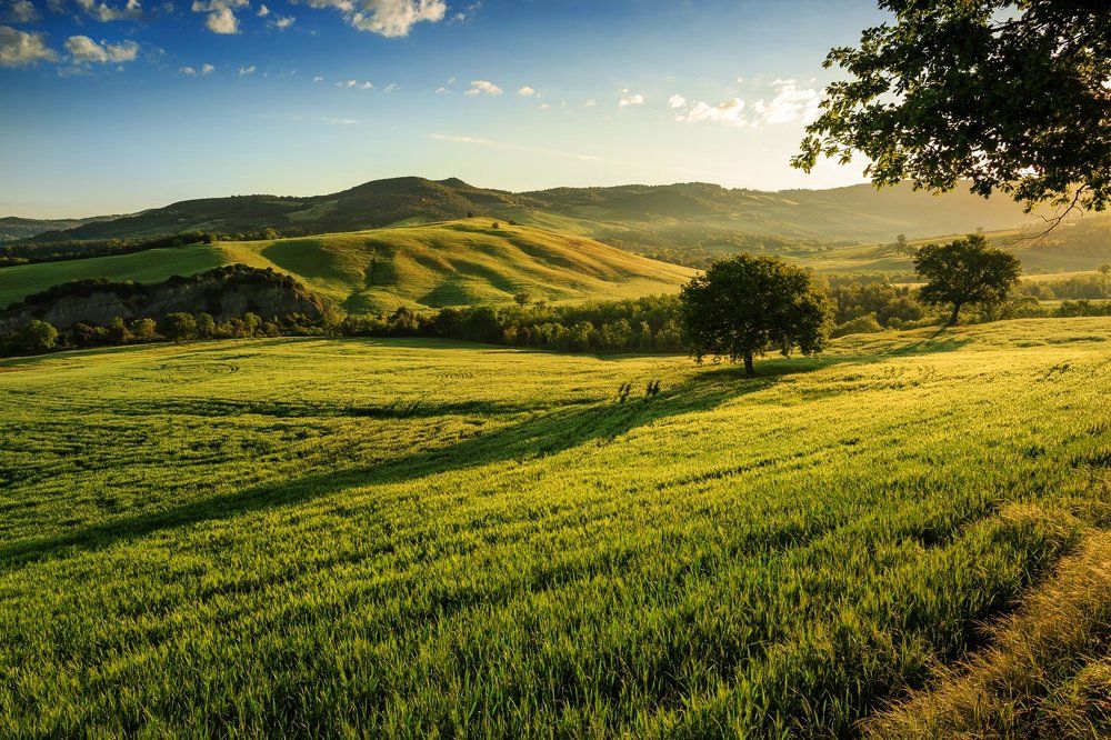 Утро в Тоскане
