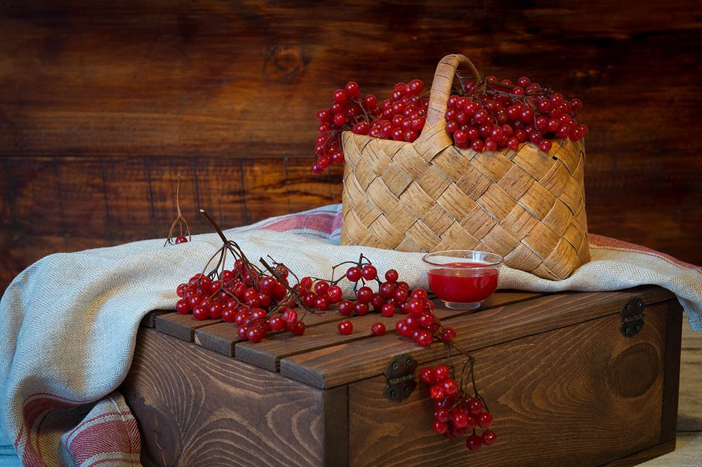 калина красная