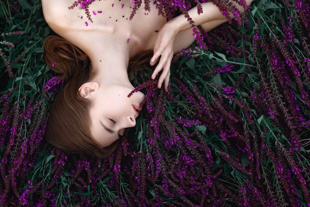 Аромат шалфея