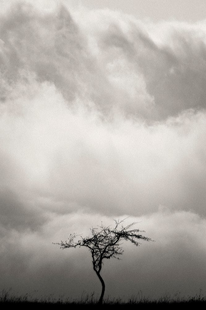 В объятии облаков