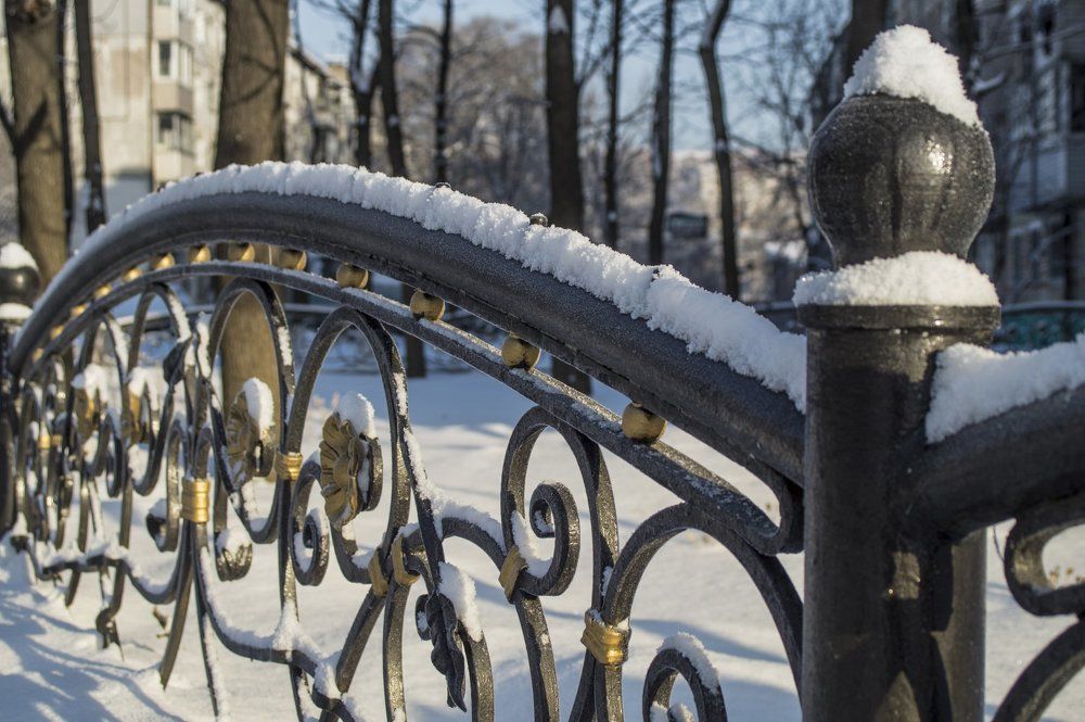 зима в городском парке